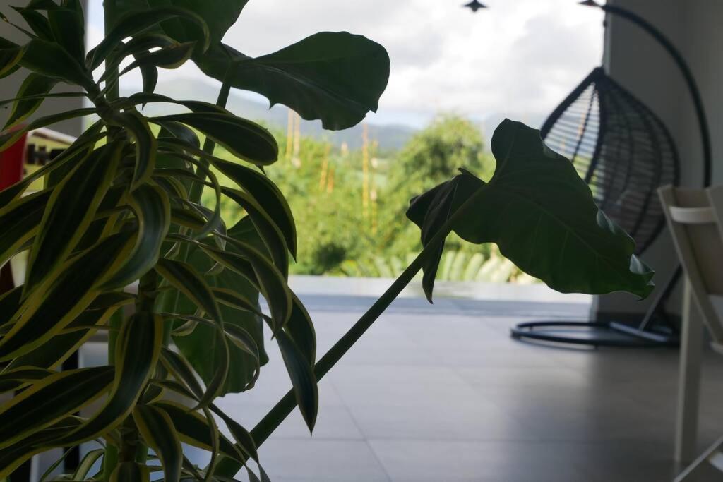 Villa Kumquat Avec Piscine Et Vue Sur Les Montagnes Petit-Bourg Ngoại thất bức ảnh