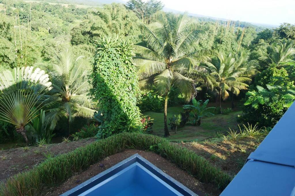 Villa Kumquat Avec Piscine Et Vue Sur Les Montagnes Petit-Bourg Ngoại thất bức ảnh