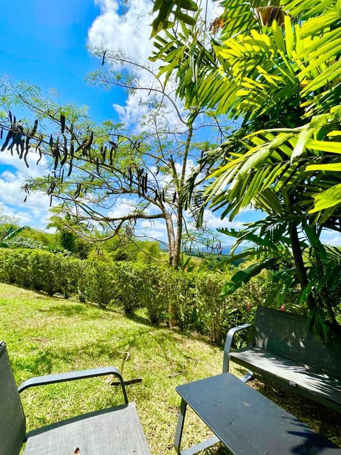 Villa Kumquat Avec Piscine Et Vue Sur Les Montagnes Petit-Bourg Ngoại thất bức ảnh
